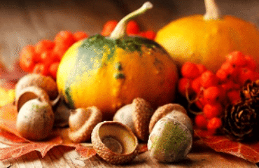 Fall and Winter lawn care...