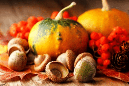 Fall and Winter lawn care...