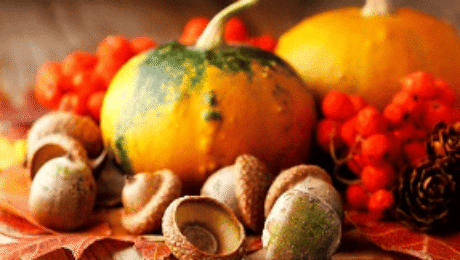 Fall and Winter lawn care… Fall and Winter lawn care...