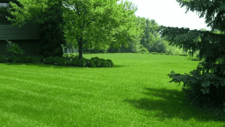 Getting Ready For Spring Getting Ready For Spring