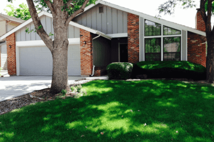 Power Raking Is A Necessity