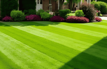 Top-Quality Lawn Care Services in Centennial and Denver From Mowing to Fertilizing Top-Quality Lawn Care Services in Centennial and Denver From Mowing to Fertilizing