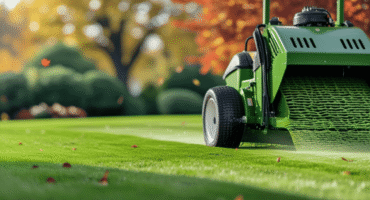 Fall Lawn Clean-Up The Secret to a Greener Spring