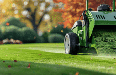 Fall Lawn Clean-Up The Secret to a Greener Spring Fall Lawn Clean-Up The Secret to a Greener Spring