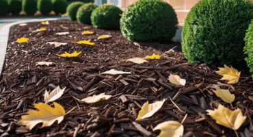 Why it is Important to Fertilize Your Lawn