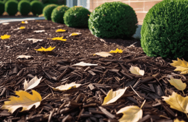 Why it is Important to Fertilize Your Lawn Why it is Important to Fertilize Your Lawn